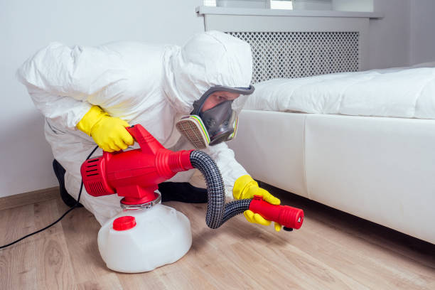 Best Bed Bug Extermination  in Colma, CA