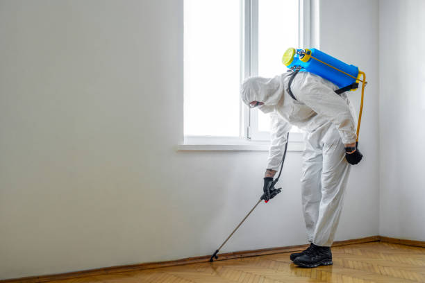 Wildlife Control Services in Colma, CA