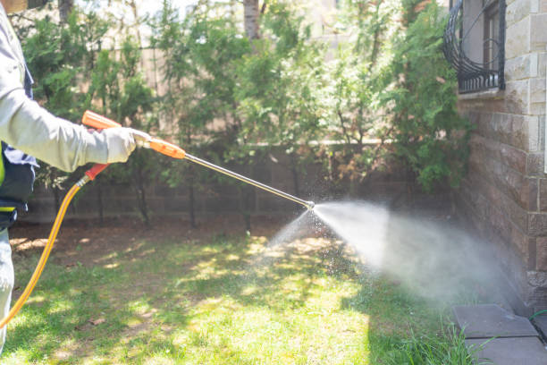 Best Residential Pest Control  in Colma, CA