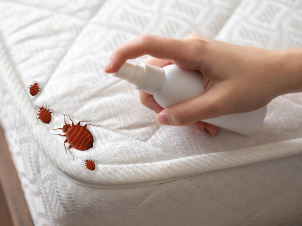 Best Wildlife Control Services  in Colma, CA